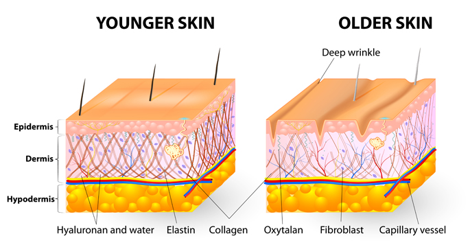 Younger Skin to Older Skin